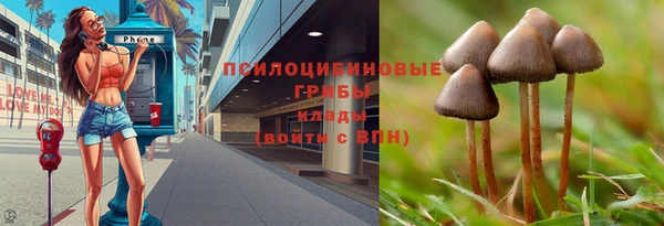 метадон Пересвет
