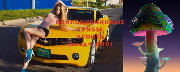 спиды Болохово