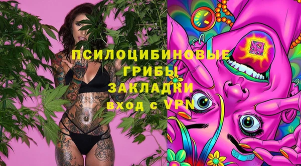 каннабис Пестово