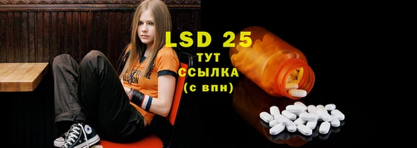 шишки Болотное
