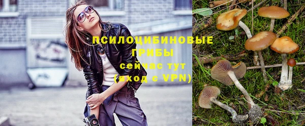 каннабис Пестово