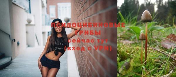 альфа пвп Переславль-Залесский