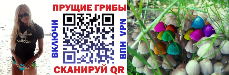 Галлюциногенные грибы MAGIC MUSHROOMS  Киселёвск 